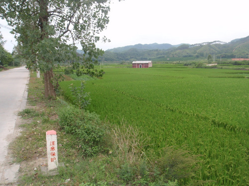 Countryside.